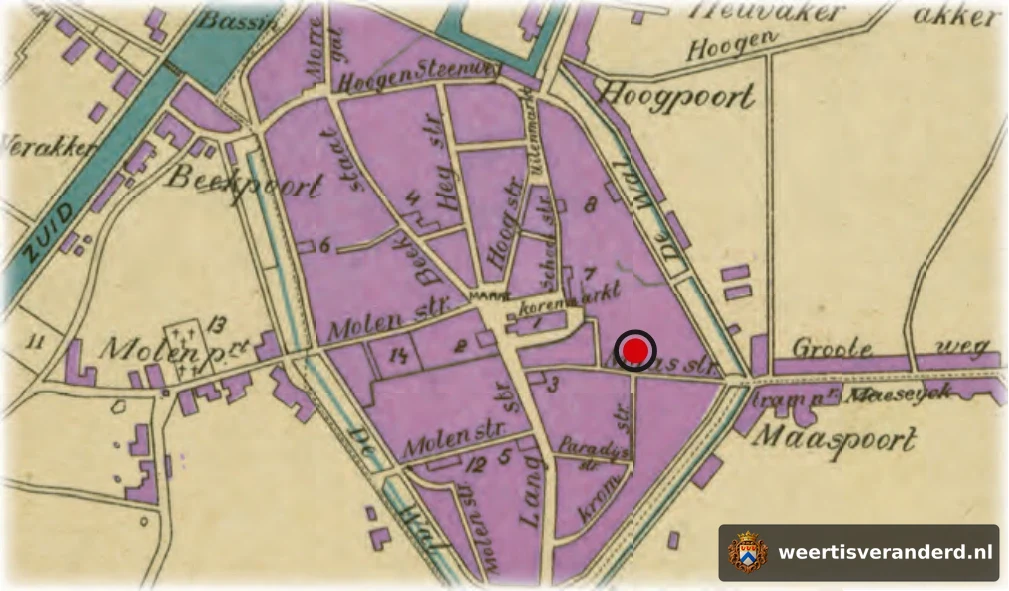 Plattegrond met het klooster van de Birgittinessen