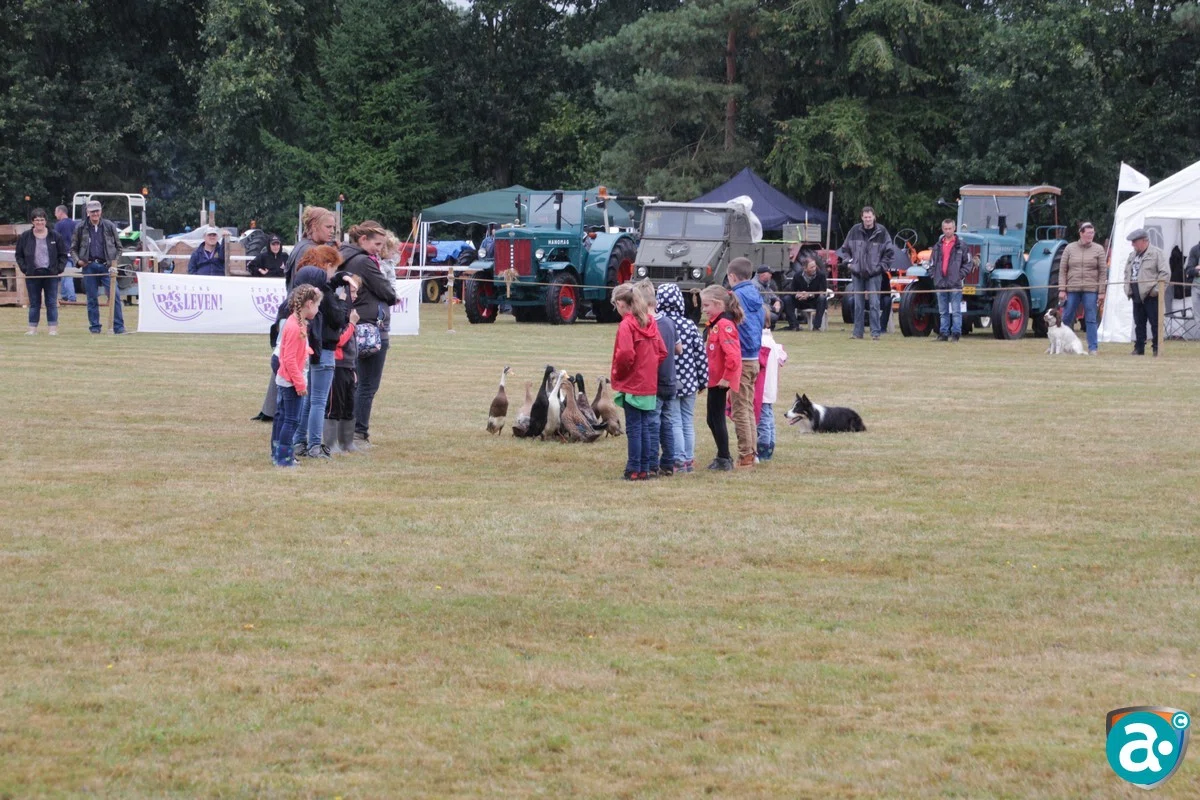 Landdag 2016