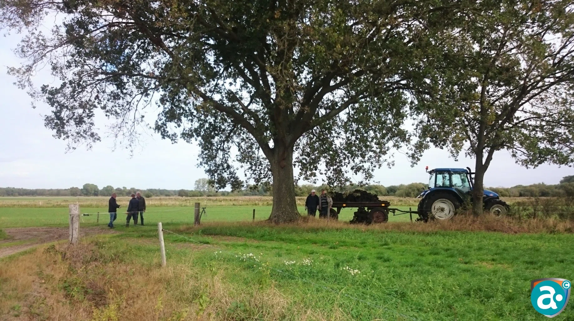 Turfhopen in de voormalige peelmoerassen van Altweerterheide