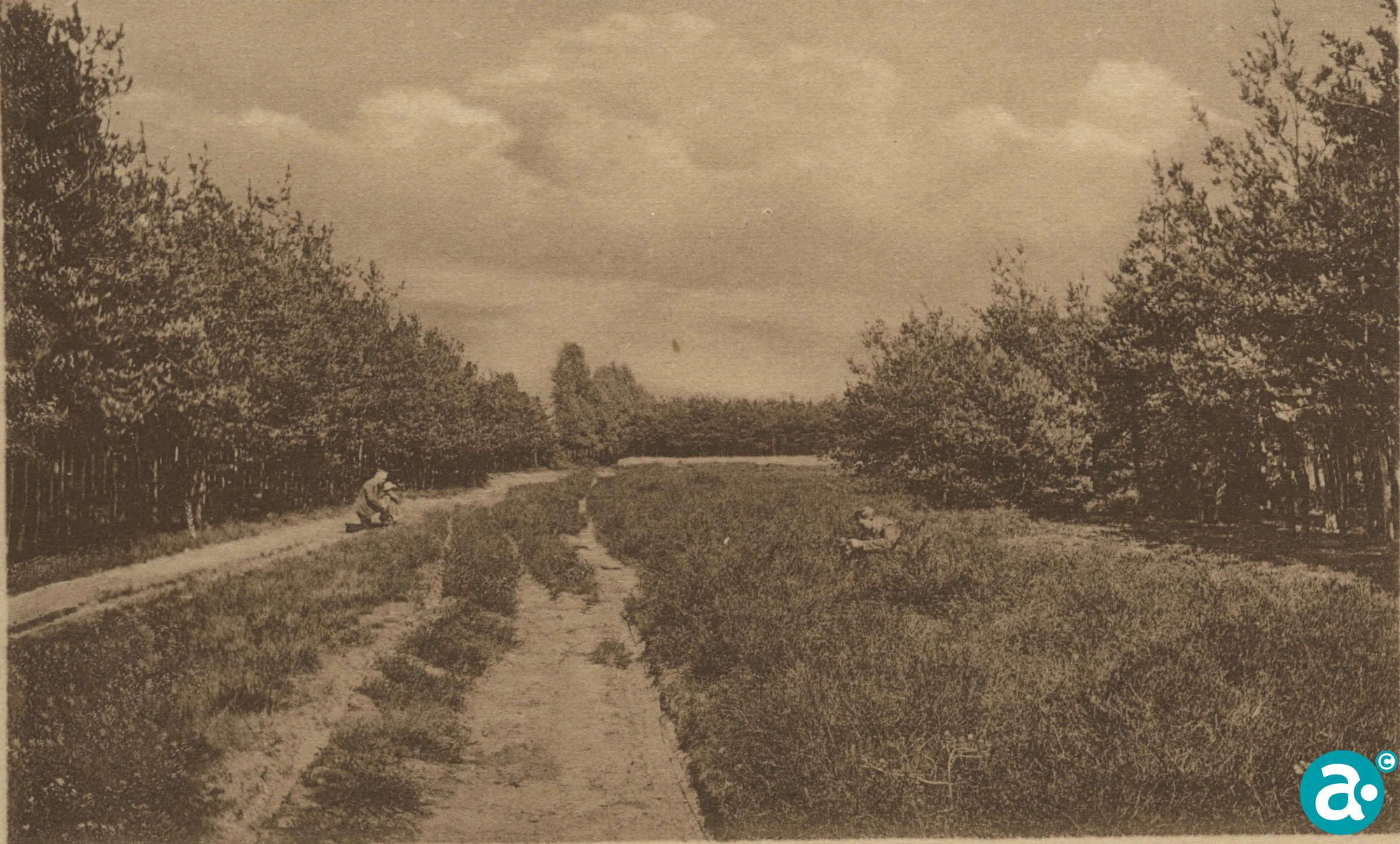 Vereniging IJzeren Man
