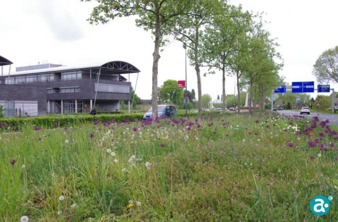 'Biodiversiteit is stevig verankerd in het beleid.'