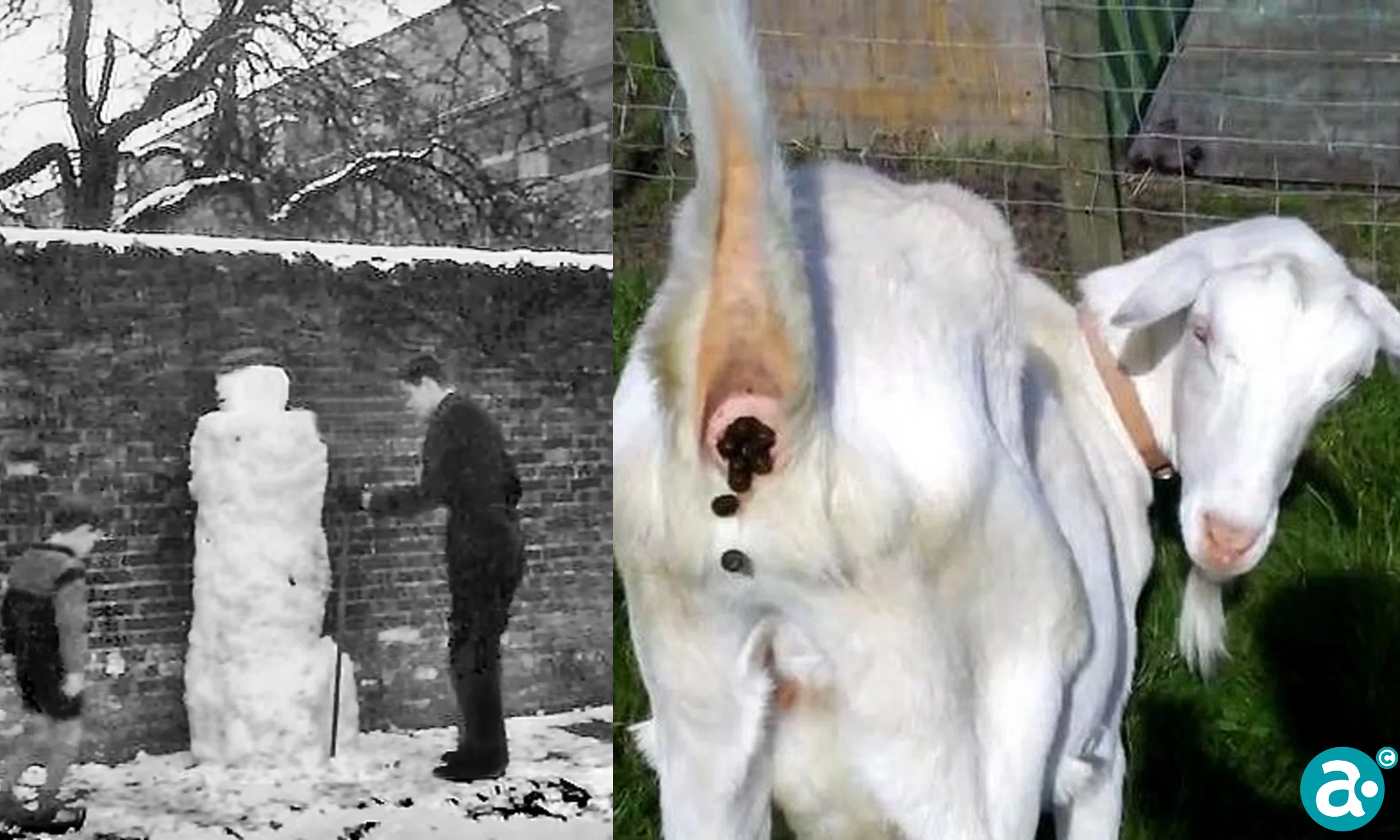 Foto Frits. “ De GFT-verwêrker en de betreffendje moor, oppe achtergroond ’t Kleezje.”