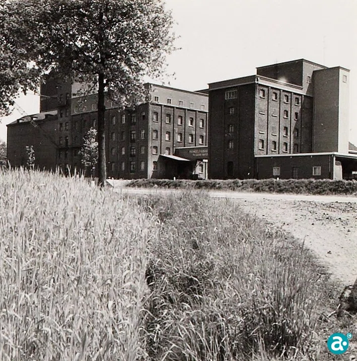 Meelfabriek