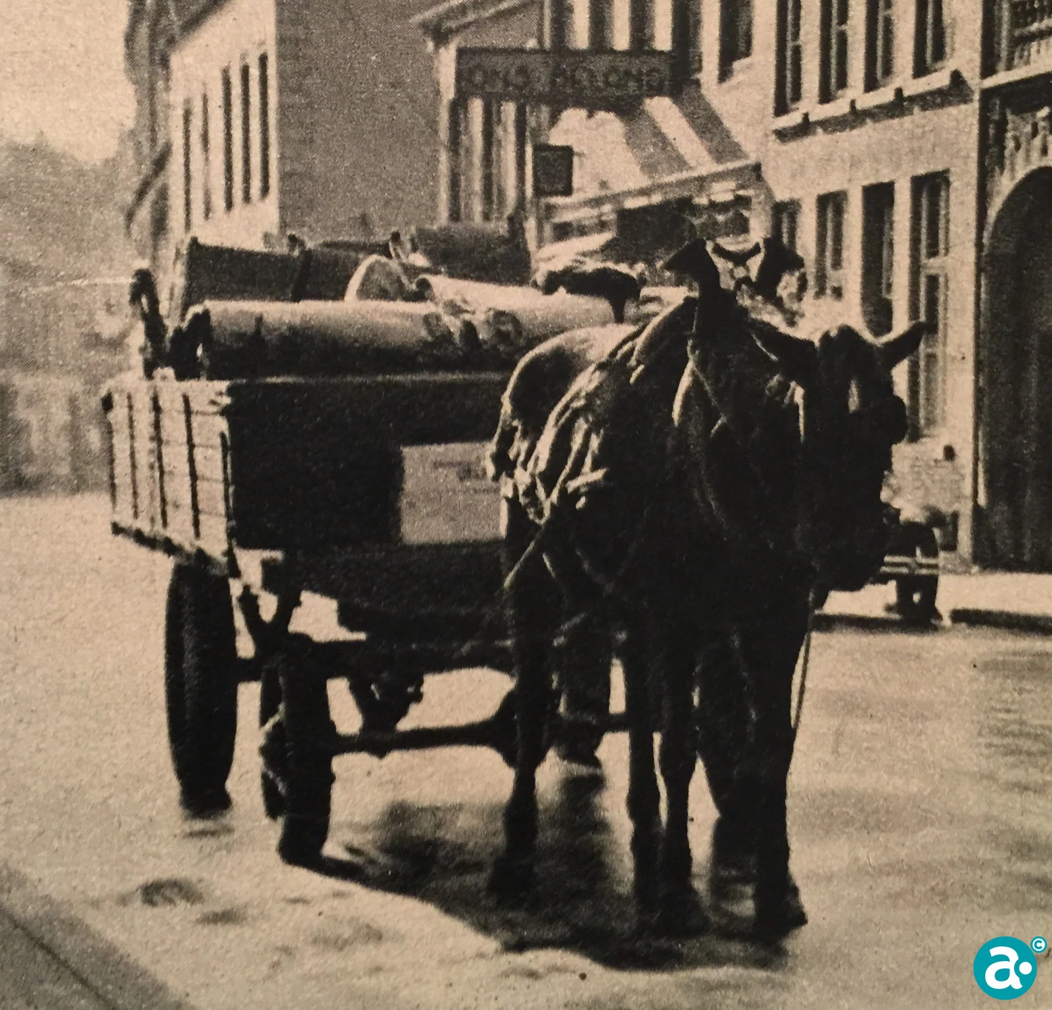 Bezorging met paard en wagen