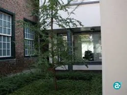 Schoolstraat 16