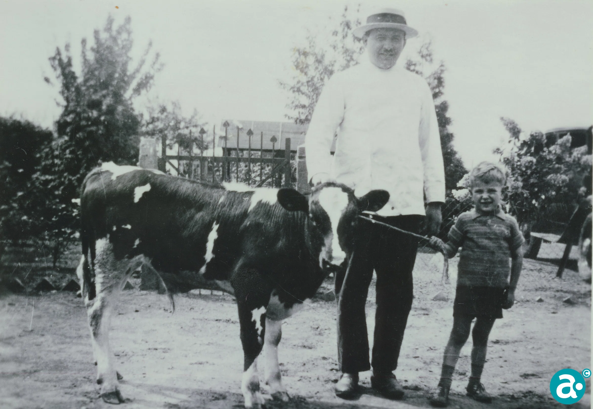 1934