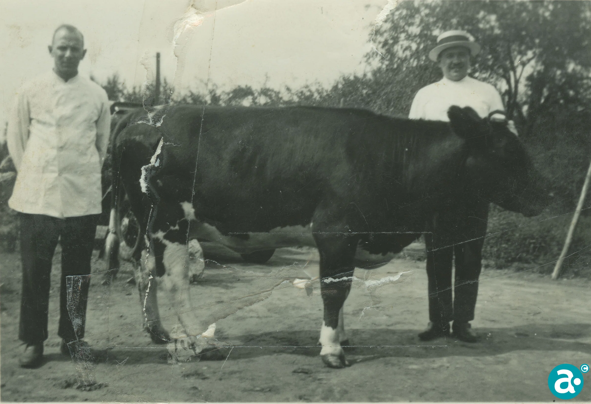 1934