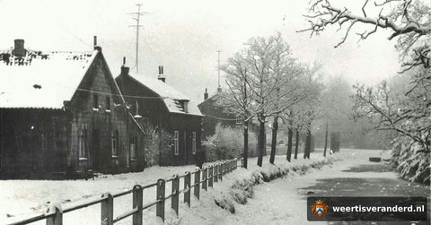 Kasteelswal in de sneeuw (1950)