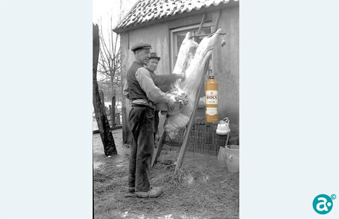 Foto: Slacht oppe boorderi-j in 1936.