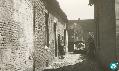 erfje Hogesteenweg