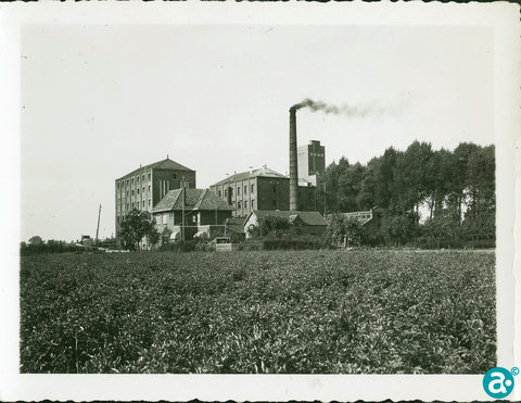 van der venne_5