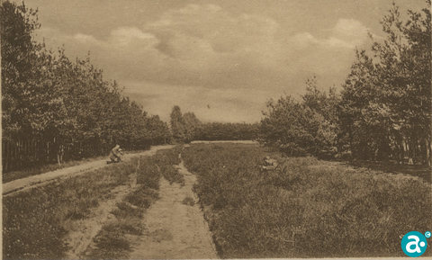 Vereniging IJzeren Man