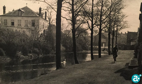 Kasteel en houthandel Scheijmans