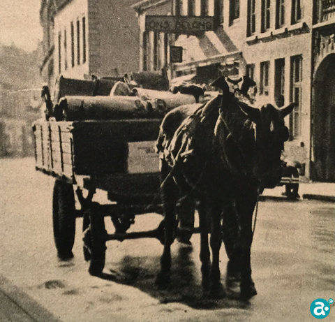 Bezorging met paard en wagen