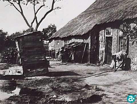FotoGoogle. “Twalet met vol-automatiese stânk-aafzuuging.”