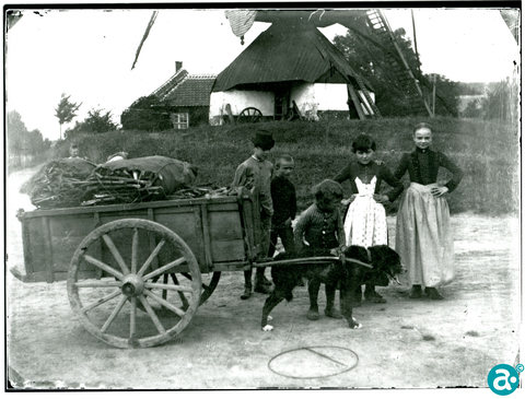Hôngskér