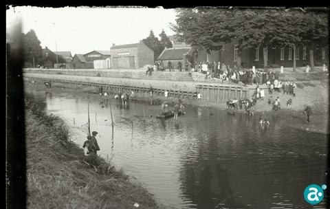 Bassin